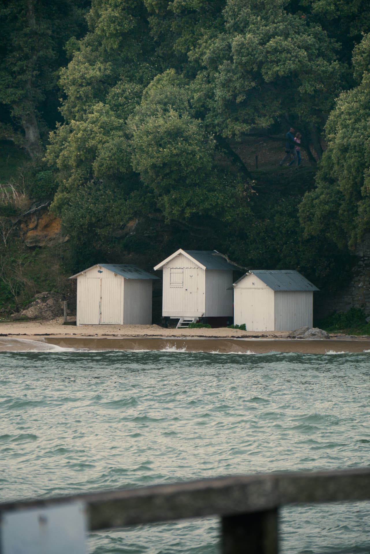 Three white beach cabins along the shore beneath coastal trees