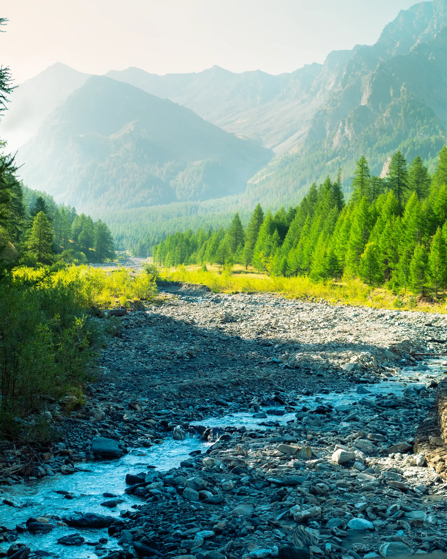 A turquoise river flowing through a tree-lined mountain valley