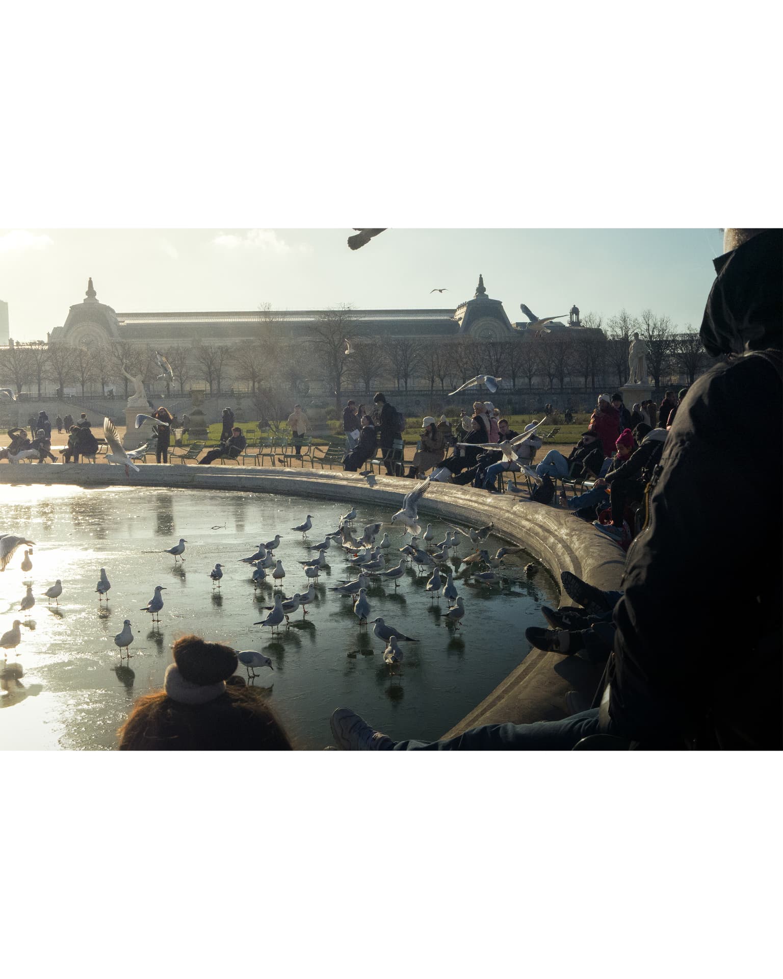 A Parisian public garden with people and birds around a partially frozen pond
