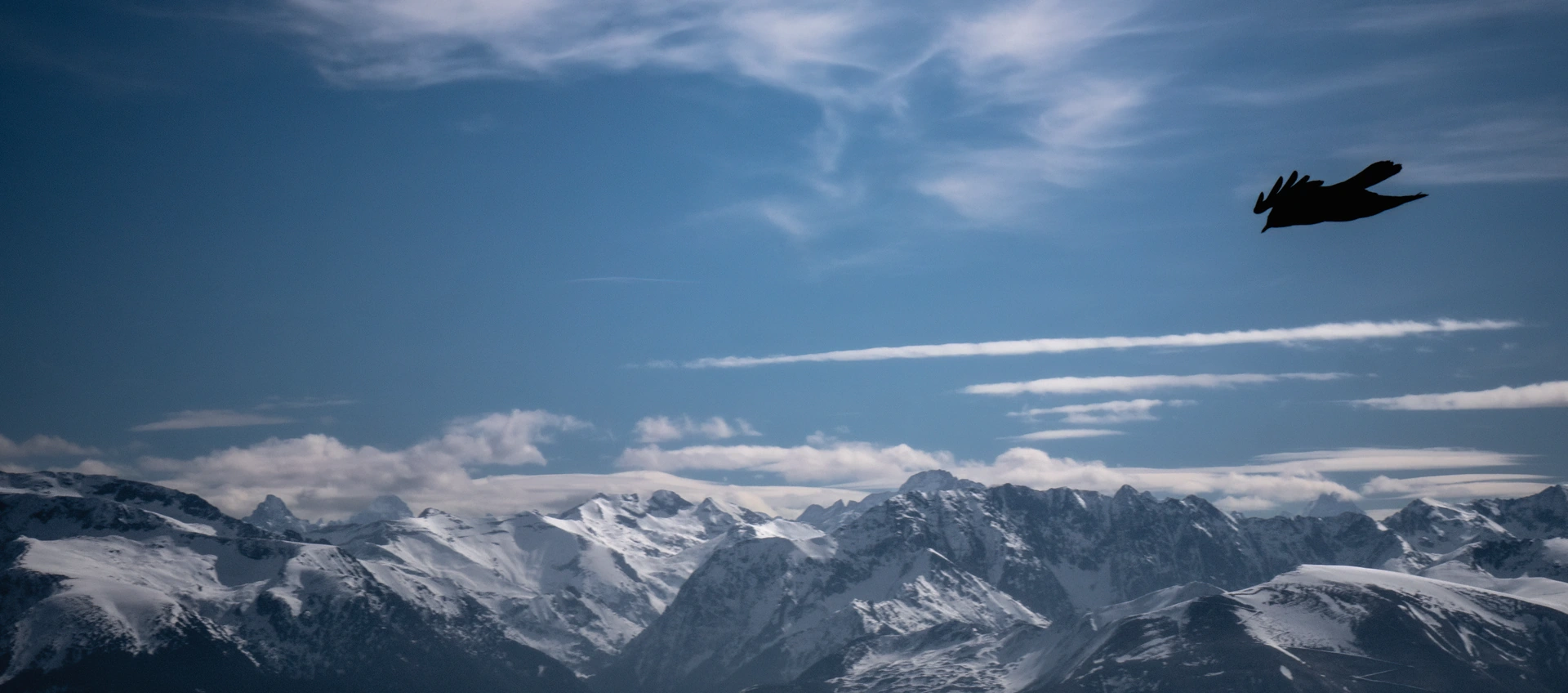 A bird silhouetted against a blue sky above snow-covered mountain peaks